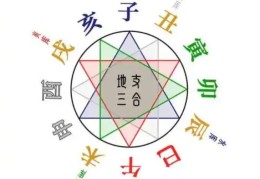 地支相合的八字好吗