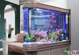 住宅鱼缸摆放需要注意的风水禁忌