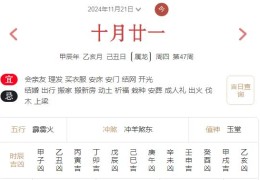 2024年11月21日每日五行穿衣指数解读搭配