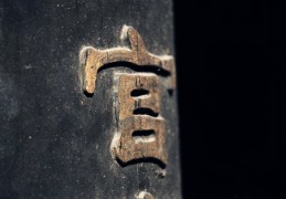 八字见食神合官好吗