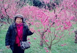 八字时柱看后半生桃花运