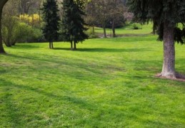 木命人生在哪个季节最好