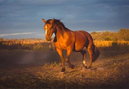 2014年出生的人命好吗