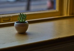 送礼的风水与禁忌