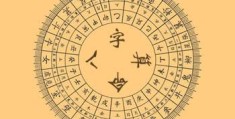 八字地支辰土详解