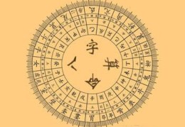 八字地支辰土详解
