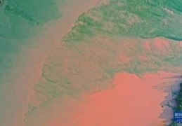 ​如何判断八字的清浊混杂