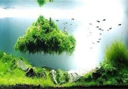 鱼缸在风水学中的作用