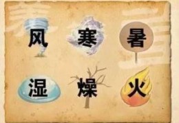八字太湿代表什么