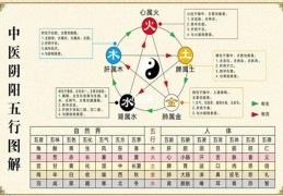 ​八字五行断健康技巧