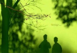 ​甲木生于各月的旺弱状态