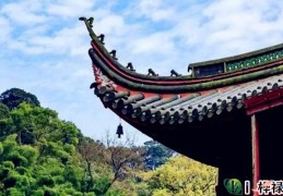 女命十神在各住的意义