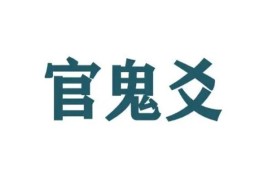 六爻官鬼爻占事技巧（六爻官鬼爻占事技巧详解）