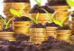 八字看财富格局特性