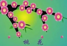 什么样的八字带桃花