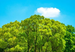 木型人适合什么工作