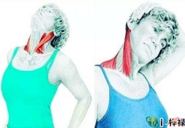 肩部看有这么一个人的福气