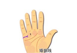 手相婚姻线看婚姻能幸福吗