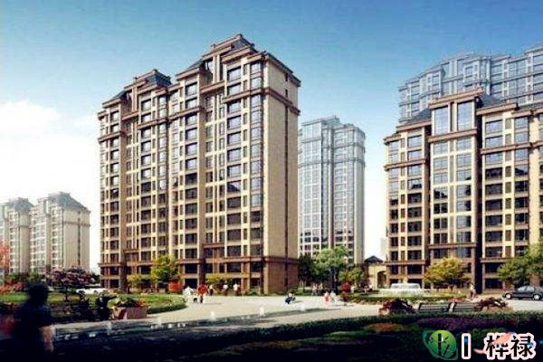 timg (4).jpg timg (4).jpg