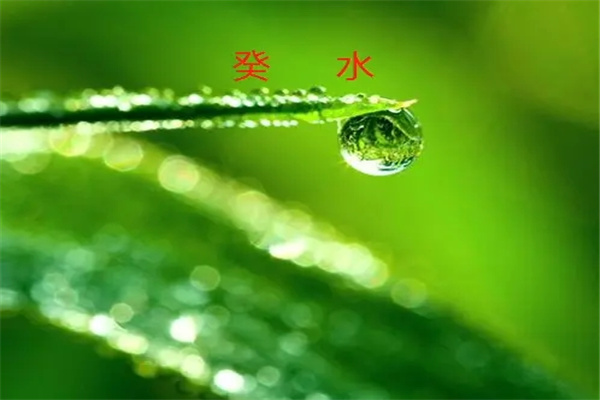 八字癸水日元论命口诀