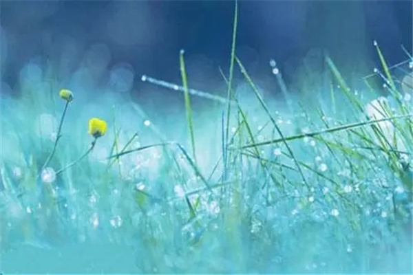 八字癸水日元论命口诀