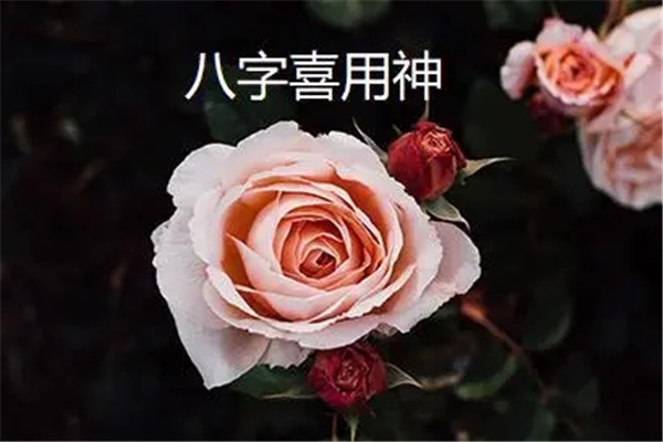 u=824200937,1793597340&fm=253&fmt=auto&app=138&f=JPEG.webp.jpg u=824200937,1793597340&fm=253&fmt=auto&app=138&f=JPEG.webp.jpg