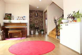 落地大花瓶摆客厅风水禁忌(落地大花瓶摆客厅风水禁忌,是否一定要二个?)