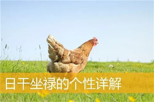 u=2446195374,3733901591&fm=253&fmt=auto&app=138&f=JPEG.webp.jpg u=2446195374,3733901591&fm=253&fmt=auto&app=138&f=JPEG.webp.jpg