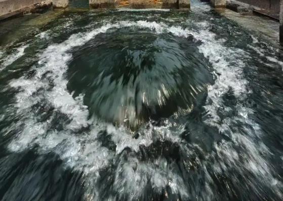 乙酉泉中水是什么意思?乙酉泉中水的命好吗-桦玺易学网 乙酉泉中水是什么意思?乙酉泉中水的命好吗-桦玺易学网